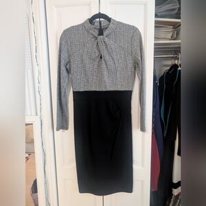 Chic Two-Tone Long Sleeve Dress